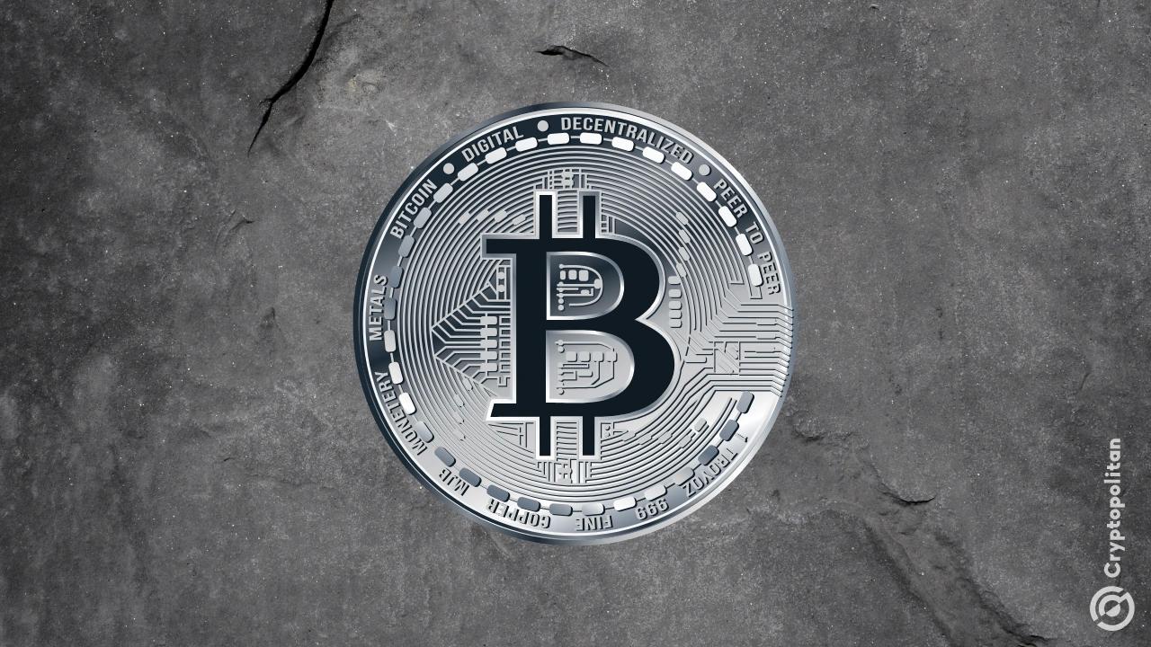 特朗普家族持有的比特币已超过 2300 万美元,共计 215 个
